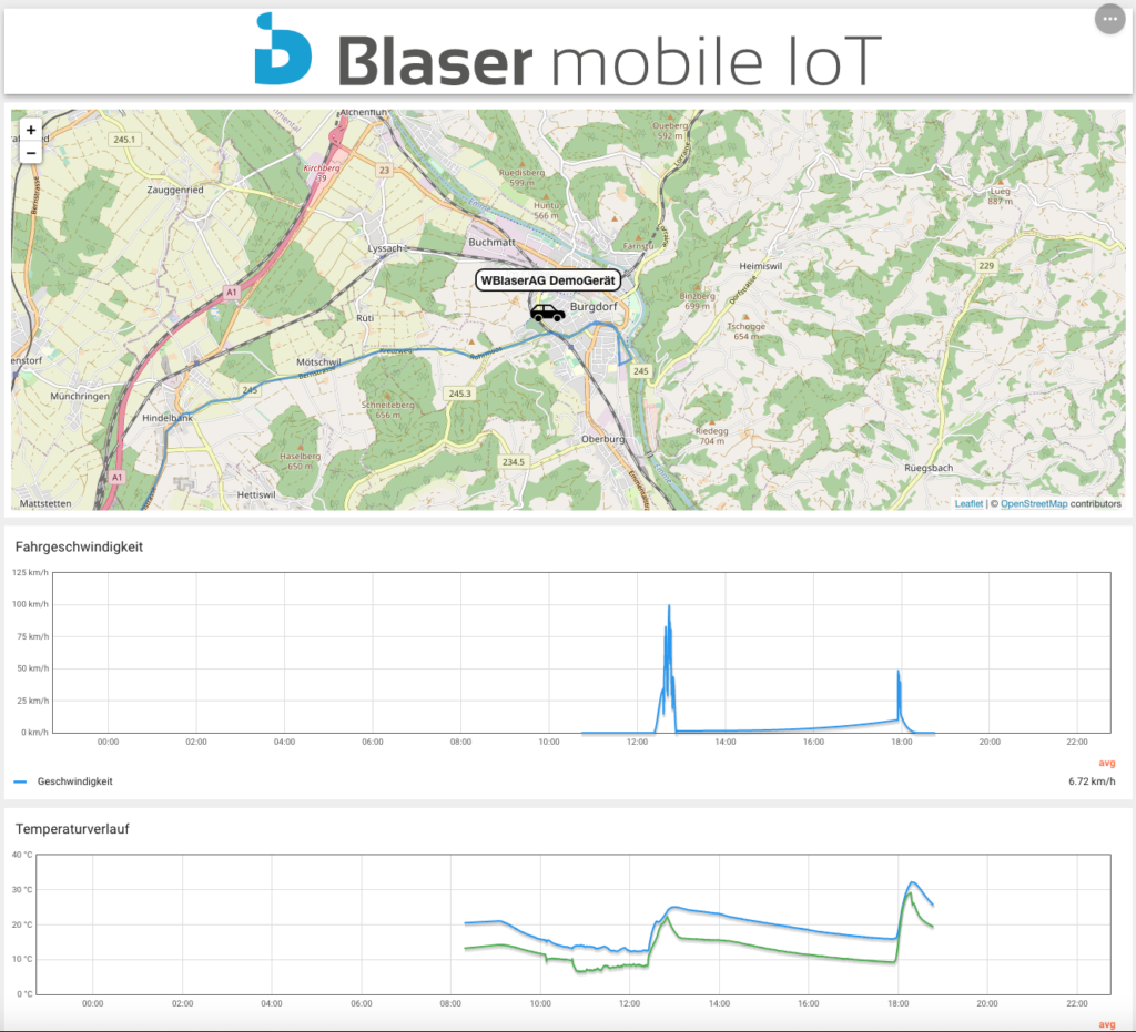 Fahrzeug Monitoring